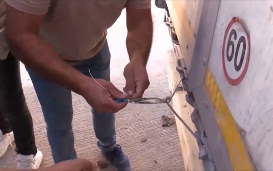 Akçakale'de 79 Ton Zararlı Ceviz İçi Ele Geçirildi
