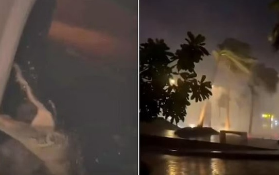 Milton kasırgasının vurduğu Florida'da timsahlar evlere girdi