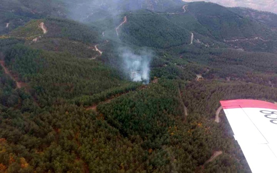 Osmaniye'de Orman Yangını Kontrol Altına Alındı