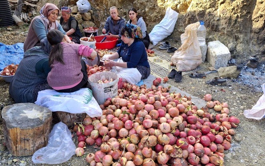 Feke'de Nar Ekşisi Üretimi Başladı
