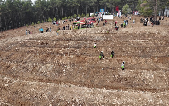 Gaziantep ve çevre illerde fidanlar toprakla buluşturuldu