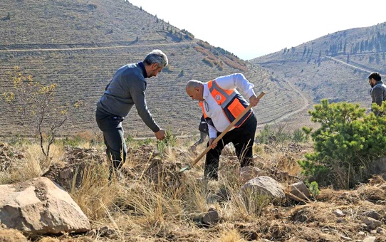 Talas Belediyesi'nden Ali Dağlı'na 1111 Fidan