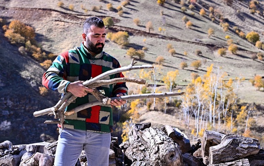 Yusuf Tan'dan Ceviz Ağaçlarına Sanat
