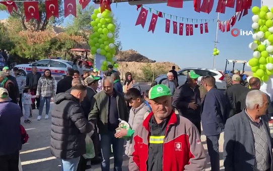 Osmaniye'de Yeşil Altın Zeytin Festivali