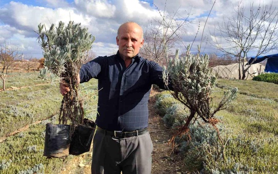 Denizli'deki Fidan Üretimi 2 Milyona Ulaşıyor