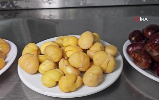 Nazilli Kestane Şekeri, Japonların Gözdesi
