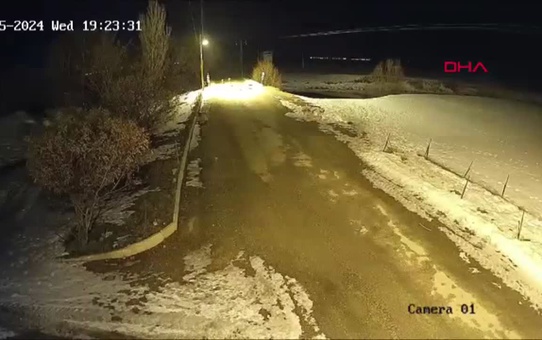 Bayburt'ta Karla Kaplanan Doğal Yaşam Alanlarından Aç Kalan Kurtlar Köye İndi