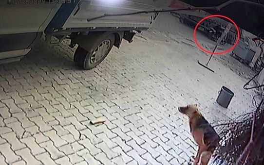 Reyhanlı'da Motosiklet-Tır Kazası: 84 Yaşında Hayatını Kaybetti
