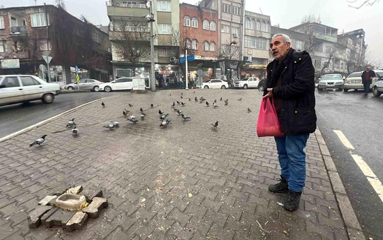 Esnafın Güvercin Sevgisi