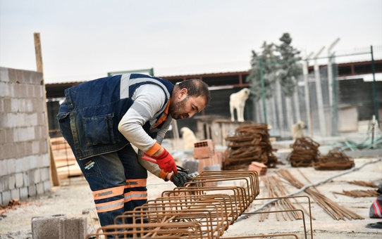 Mamak'ta Sokak Hayvanları Bakım Evi Yenileniyor