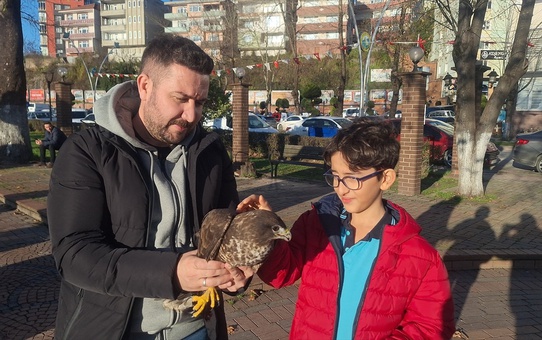 Yaralı Şahin Kurtarıldı