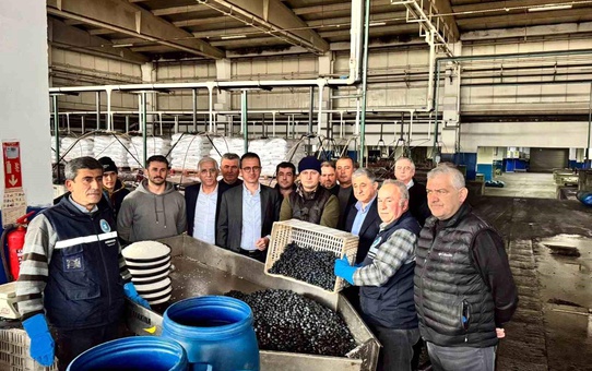 İznik Kaymakamı, Zeytin Kooperatifini Ziyaret Etti