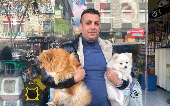 Ç stolen köpek bulundu!