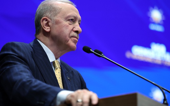 Cumhurbaşkanı Erdoğan'a iki yeni başdanışman