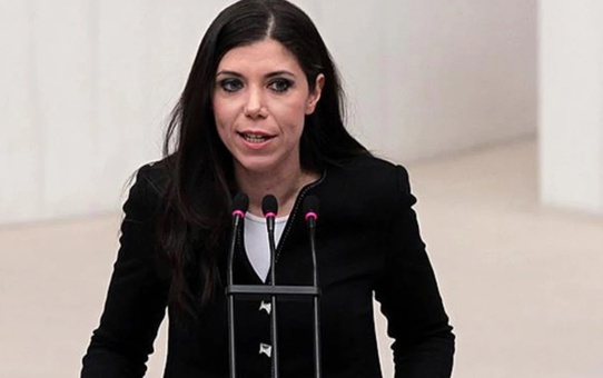 Merkez Parti Genel Başkanı Pelin Gündeş Bakır'a otobanda saldırı
