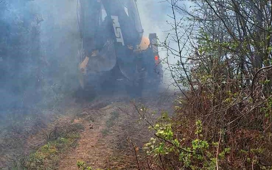 Yalova'da Orman Yangını Kontrol Altına Alındı