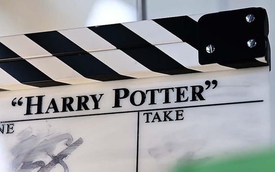 Harry Potter Dizisinin İlk Resmi Oyuncu Kadrosu Açıklandı
