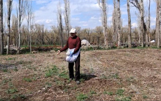 Akyaka'da Elle Tohum Serpme Geleneği Yaşatılıyor