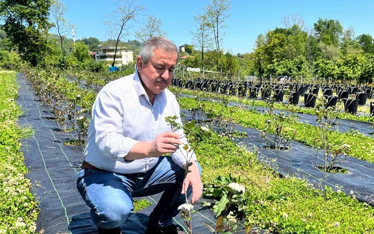 Siyaseti Bırakan Eski Başkan Doğaya Yöneldi