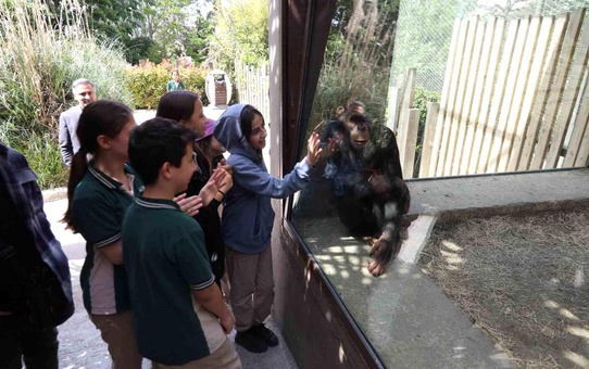 Darıca Belediyesi'nden 5. Sınıf Öğrencilerine Ücretsiz Hayvanat Bahçesi Ziyareti