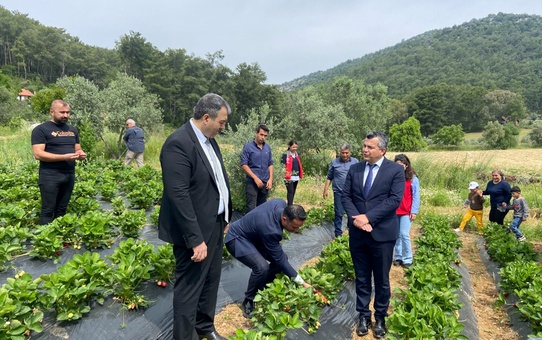 Öğrenciler Çilek ve Salep Hasadında