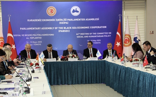 Engellilere Yönelik Stratejiler KEİPA'da Ele Alındı