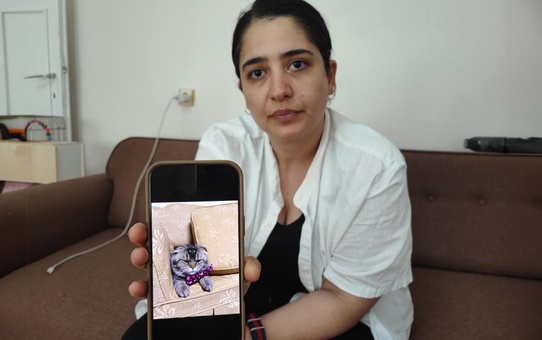 Kayıp kedisi için 15 bin lira ödül koydu: Bulamazsam eşim beni boşayacak