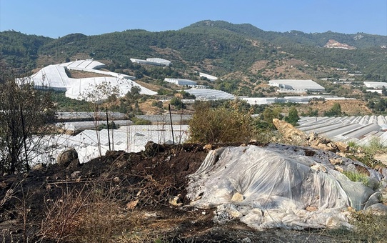 Alanya'da Yangın Kontrol Altında