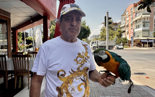 Çalınan Papağan Cabbar Bulundu