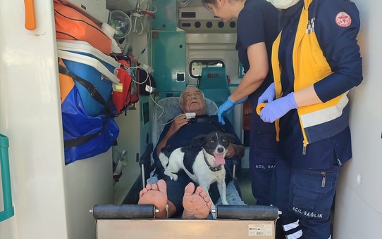 Köpek Bediş Sahibinin Yanında