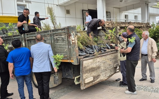 Bahşılı'da 2 Bin Fidan Dağıtımı Yapıldı