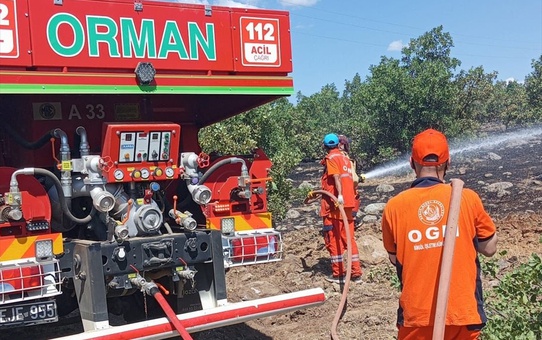 Bingöl'de Orman Yangını Söndürüldü