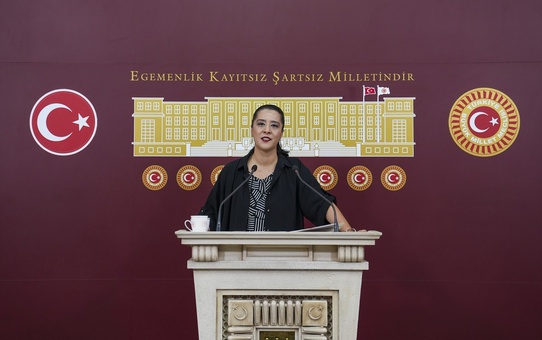 Şirketlerin Okul Üzerindeki Etkisi Eleştirildi