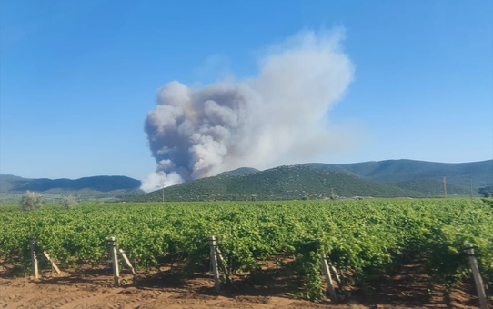 Manisa'da Orman Yangınına Müdahale
