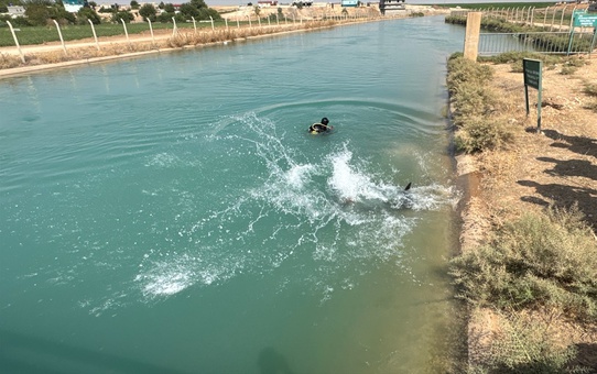 Şanlıurfa'da Kaybolan Genç Bulundu