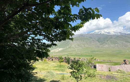 Karagüney Köyü'nde Ağaç Dikimi Başarıyla Gerçekleşti