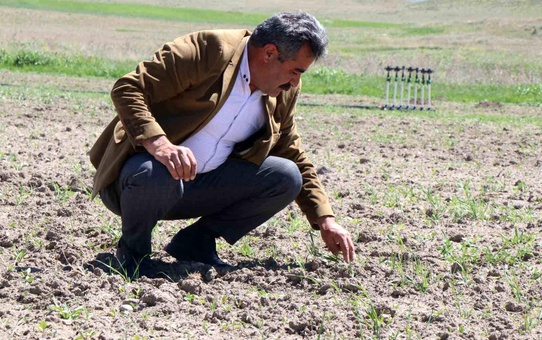 Diyadin'de Tarım Üretimi Artıyor