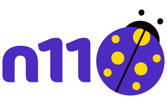 n11 DMSF Holding'e Devredildi