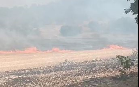 Savur'da Örtü Yangını