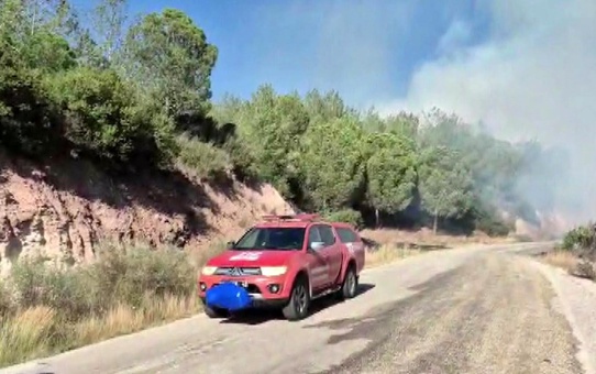 Adana'da Orman Yangınına Müdahale Başladı