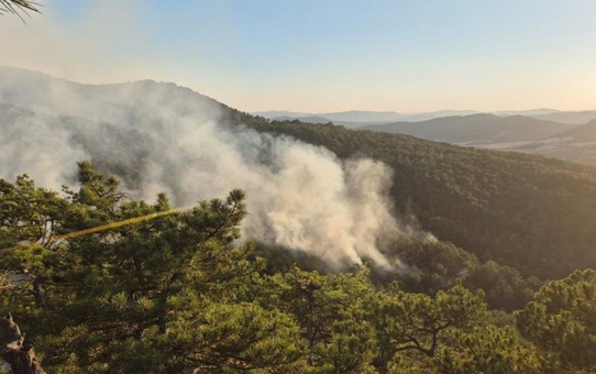 Bolu'dan korkutan orman yangını