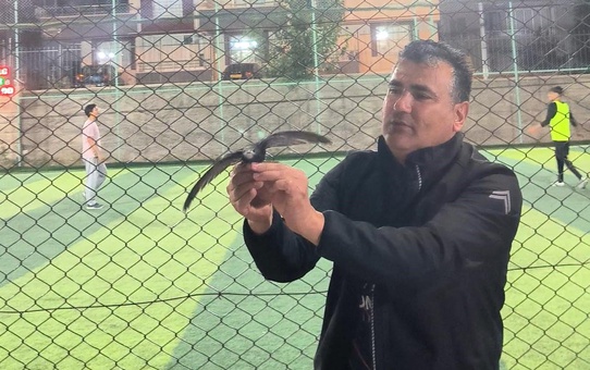 Yaralı Ebabil Kuşu Kurtarıldı