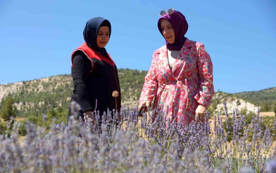 Emekli Hemşire Lavanta ve Salep Üretecek