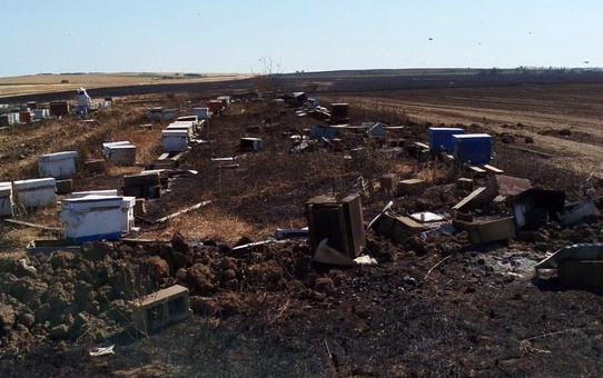 Hayrabolu'da Anız Yangını: 400 Arı Kovanı Yandı
