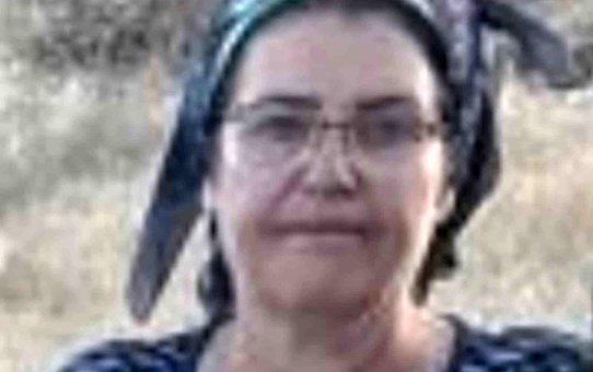 Darende'de Kadın Havuzda Ölü Bulundu