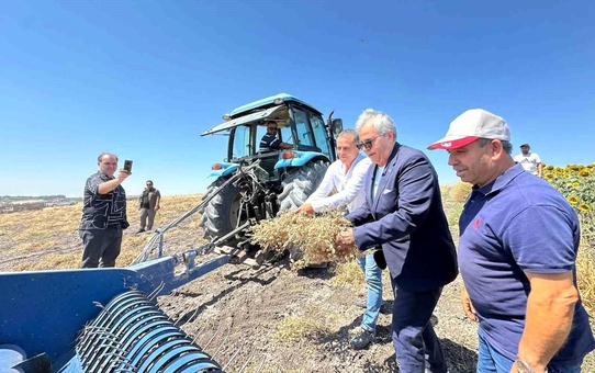 Bandırma Belediyesi'nden Yerel Çiftçilere Destek Projesi: Nohut Hasadı Gerçekleştirildi