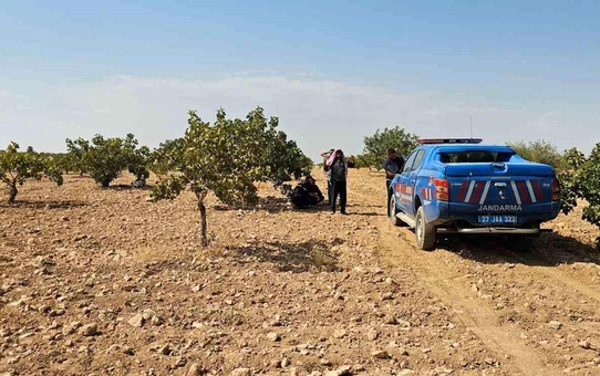 Karkamış'ta Fıstık Hasadı Sırasında Kalp Krizi