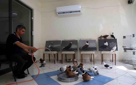 Diyarbakır'da Güvercin Oteli