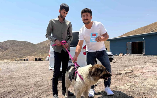 Sadık Köpek Sanatçıya Teslim Edildi