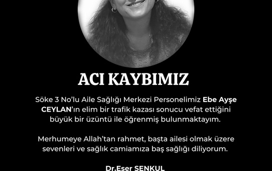 Kapısı açık seyreden minibüsten düşen ebe hayatını kaybetti